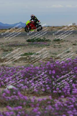 media/Jan-14-2023-SoCal Trackdays (Sat) [[497694156f]]/Turn 14 Exit Bloomig (145pm)/
